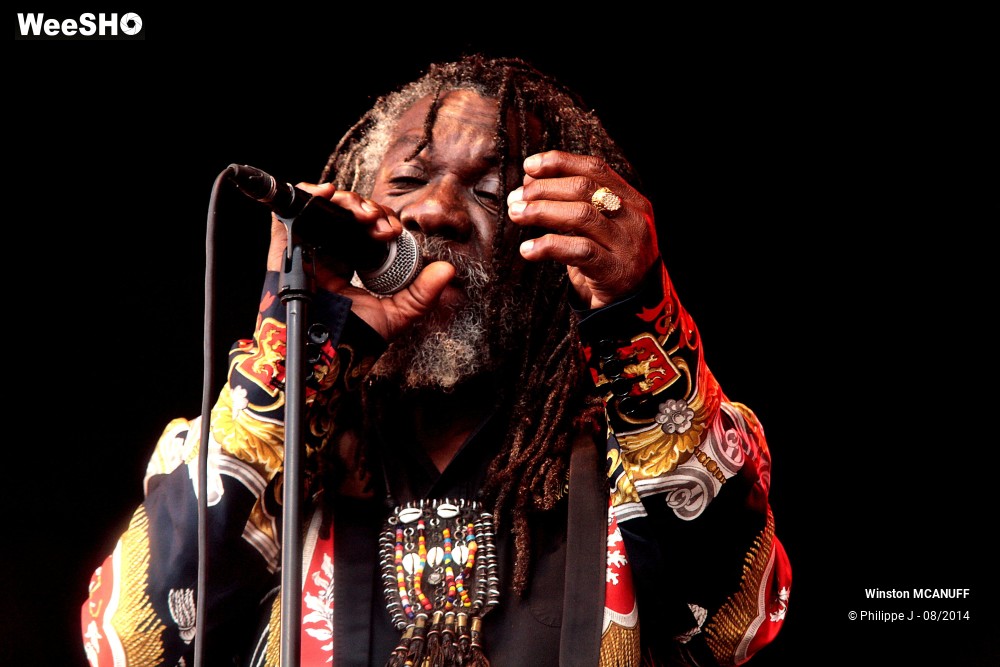 5/27 photos du spectacle Winston McAnuff & Fixi