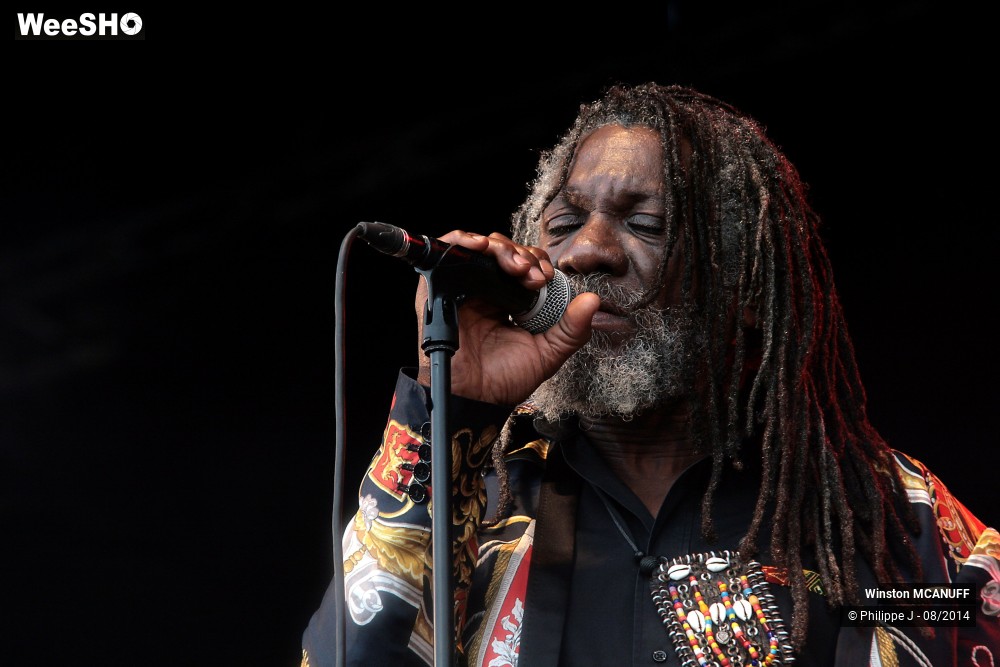 10/27 photos du spectacle Winston McAnuff & Fixi