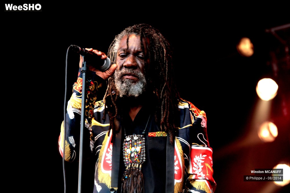 11/27 photos du spectacle Winston McAnuff & Fixi