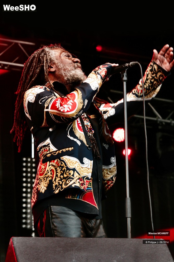 12/27 photos du spectacle Winston McAnuff & Fixi