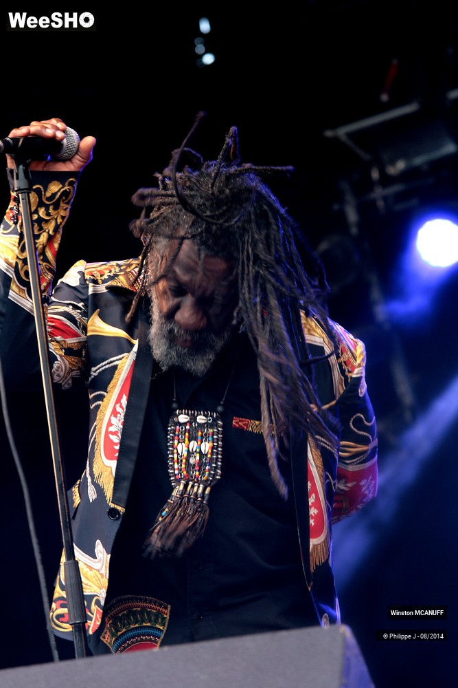 13/27 photos du spectacle Winston McAnuff & Fixi