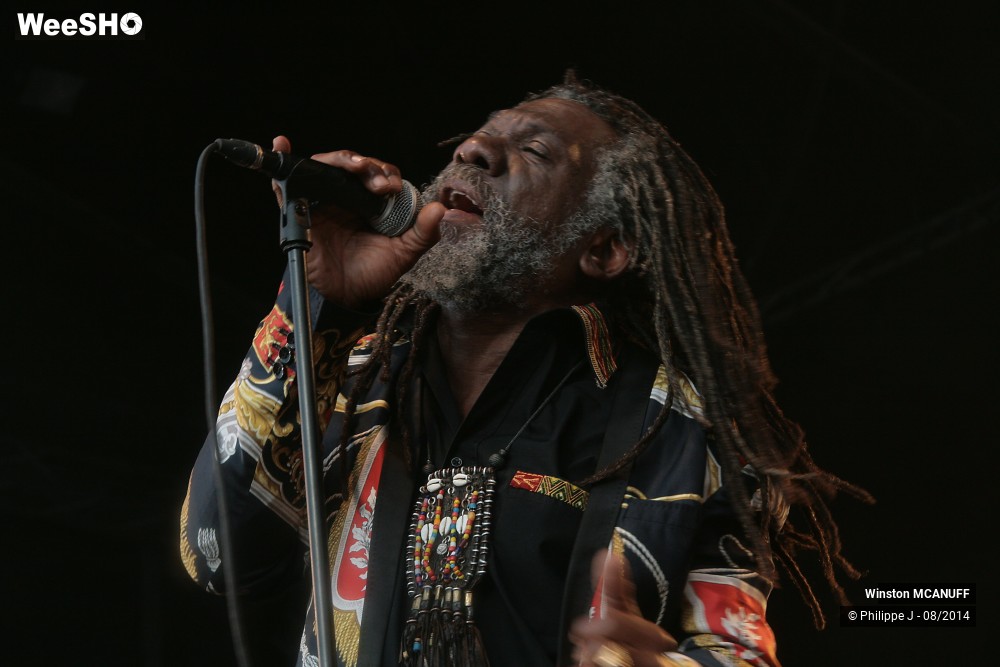 17/27 photos du spectacle Winston McAnuff & Fixi