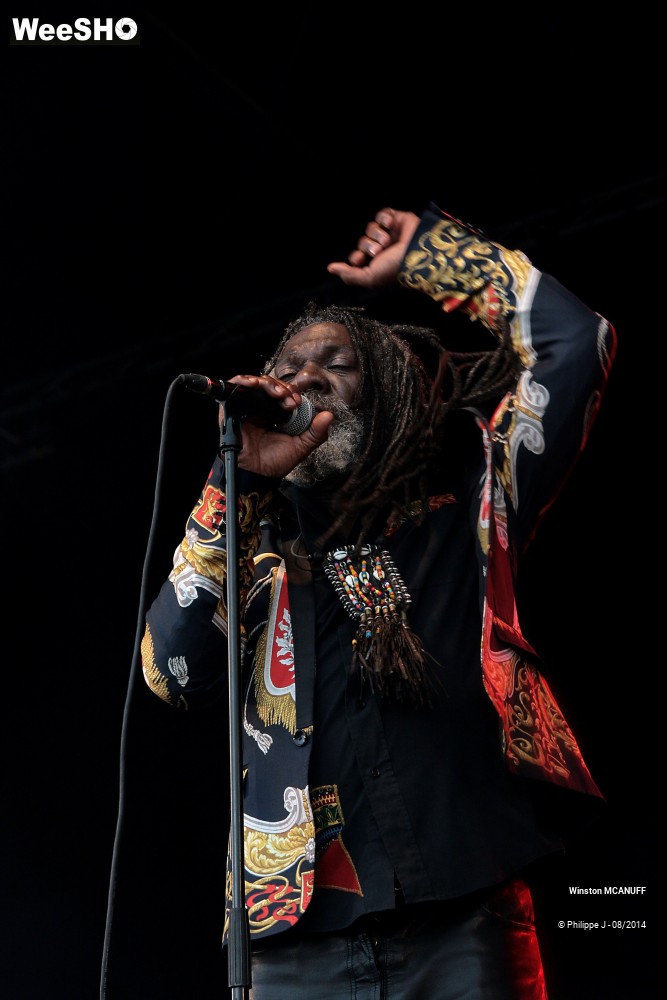 18/27 photos du spectacle Winston McAnuff & Fixi