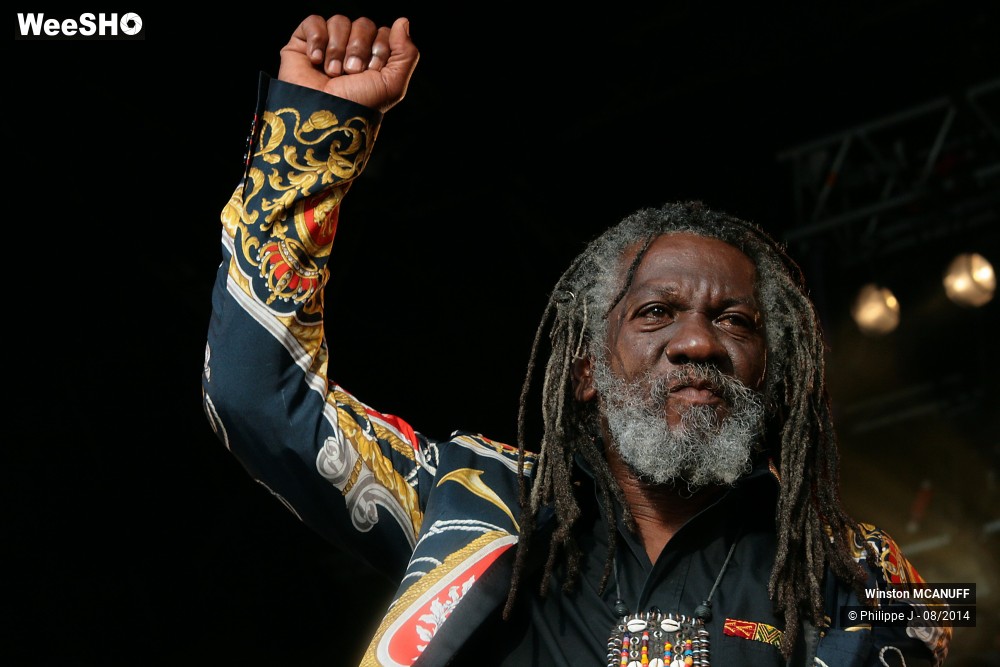 19/27 photos du spectacle Winston McAnuff & Fixi