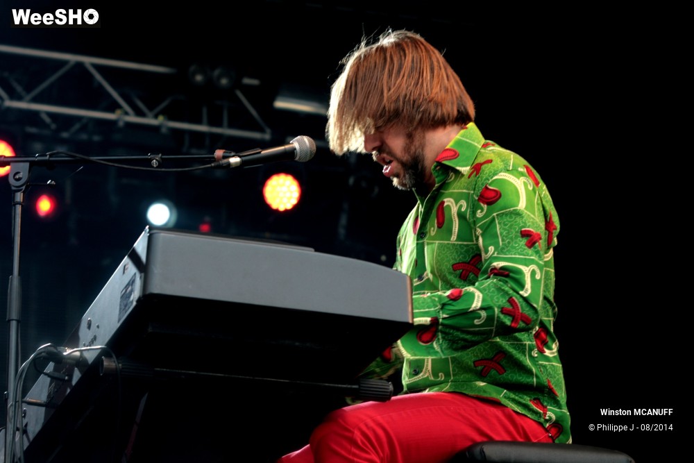 20/27 photos du spectacle Winston McAnuff & Fixi