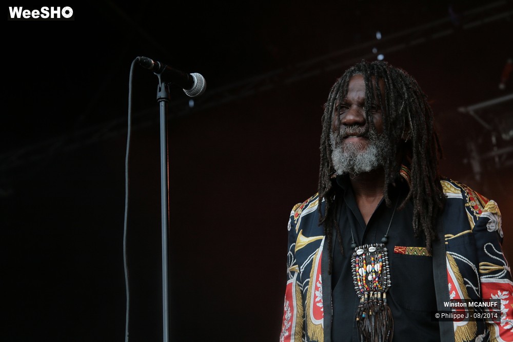 22/27 photos du spectacle Winston McAnuff & Fixi