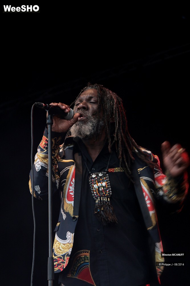 24/27 photos du spectacle Winston McAnuff & Fixi