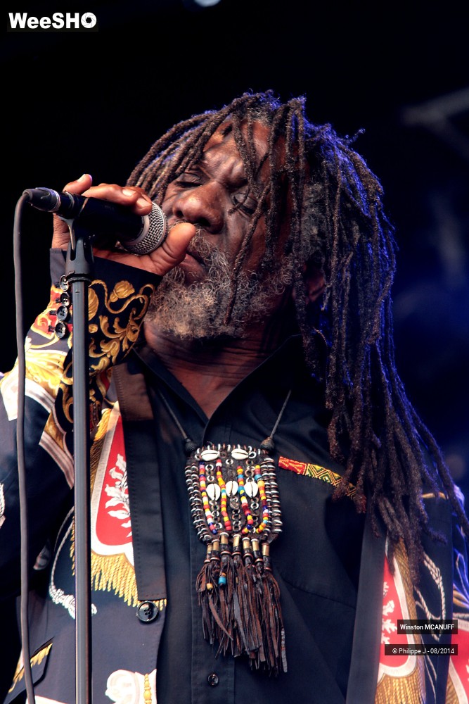 25/27 photos du spectacle Winston McAnuff & Fixi