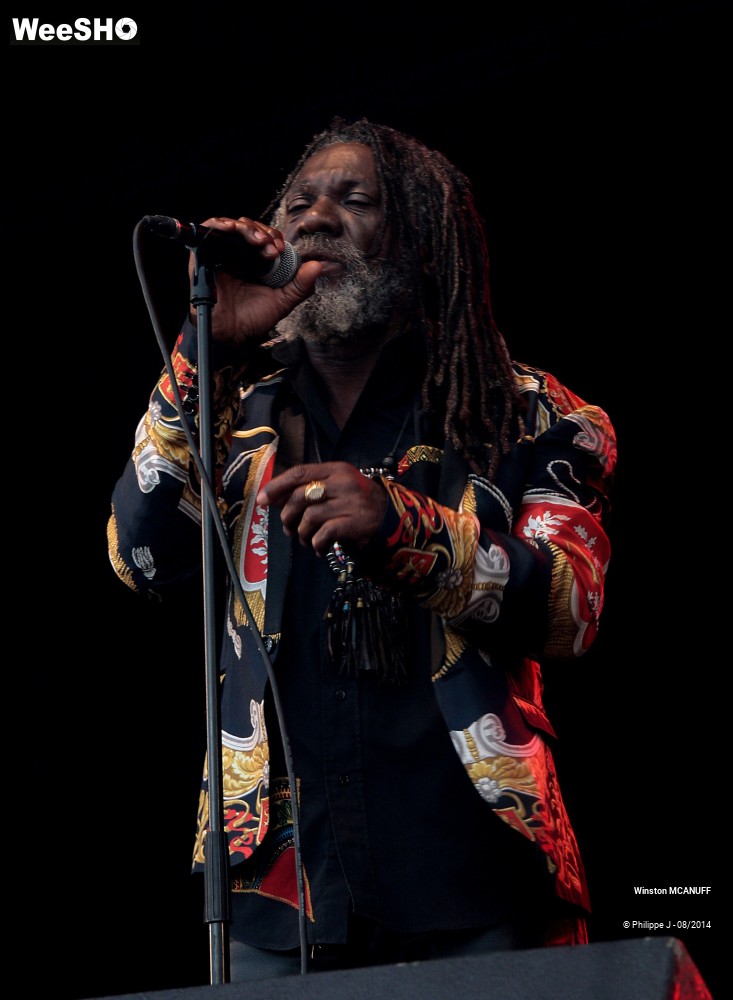 26/27 photos du spectacle Winston McAnuff & Fixi