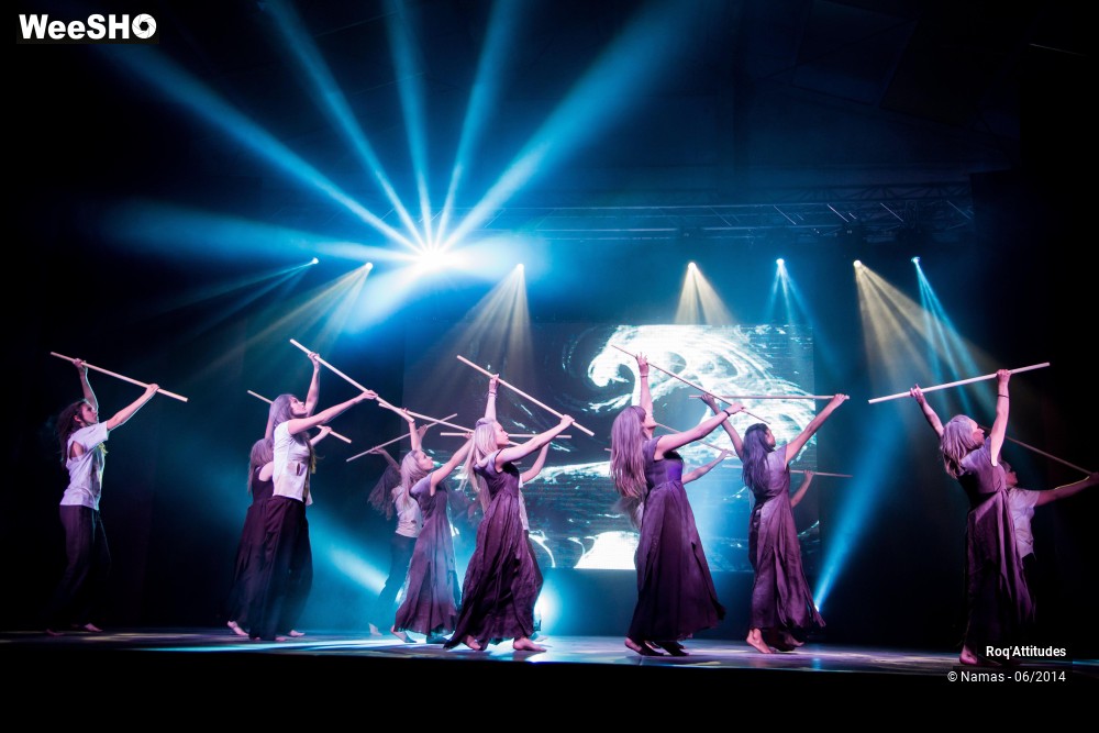 11/49 photos du spectacle Roq'Attitudes 2014 - Partie 2