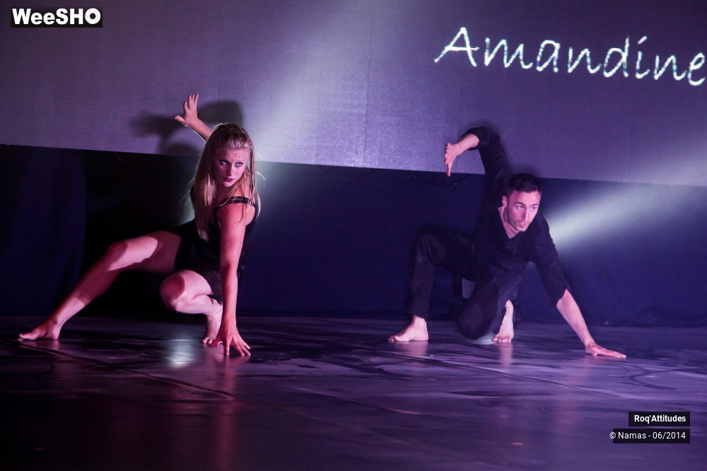 16/49 photos du spectacle Roq'Attitudes 2014 - Partie 2