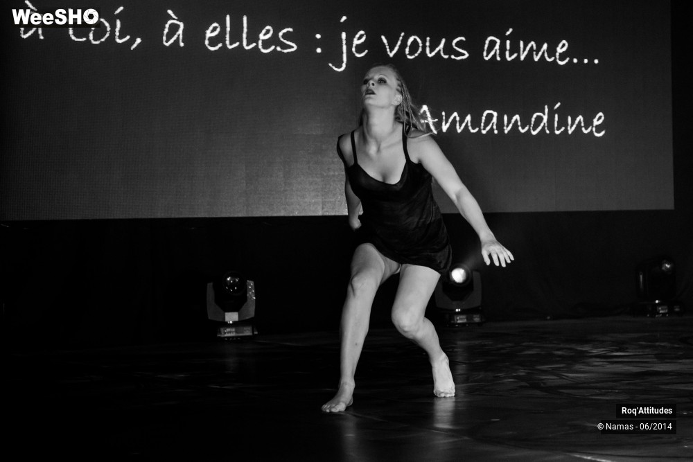 20/49 photos du spectacle Roq'Attitudes 2014 - Partie 2