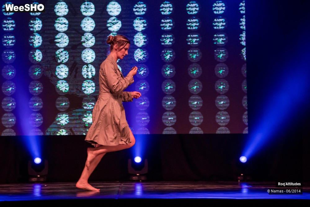 30/49 photos du spectacle Roq'Attitudes 2014 - Partie 2