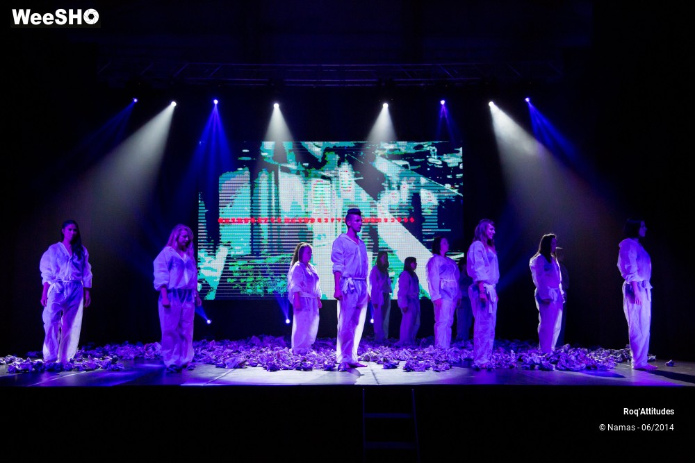 31/49 photos du spectacle Roq'Attitudes 2014 - Partie 2