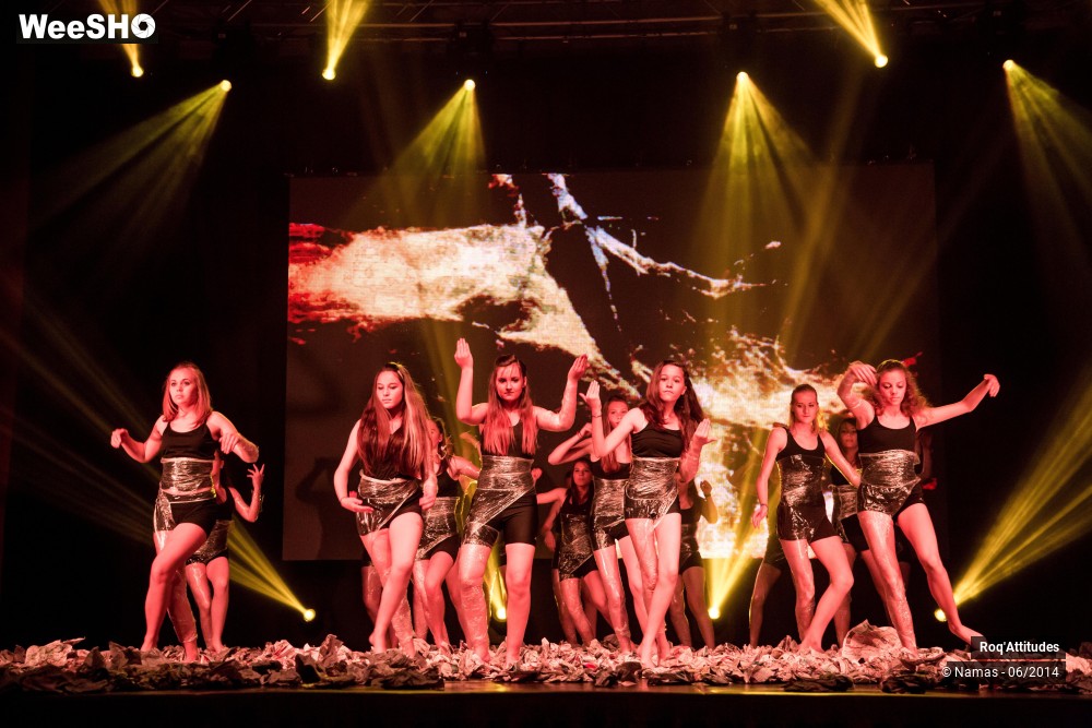 32/49 photos du spectacle Roq'Attitudes 2014 - Partie 2