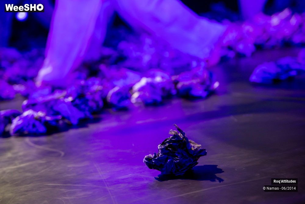 35/49 photos du spectacle Roq'Attitudes 2014 - Partie 2