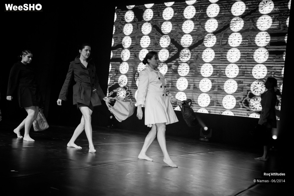 36/49 photos du spectacle Roq'Attitudes 2014 - Partie 2
