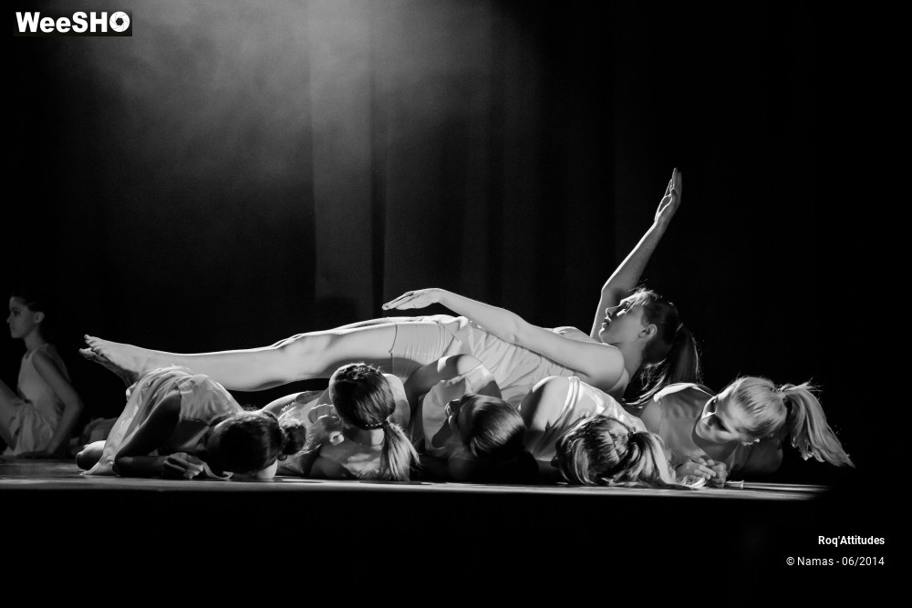 41/49 photos du spectacle Roq'Attitudes 2014 - Partie 2