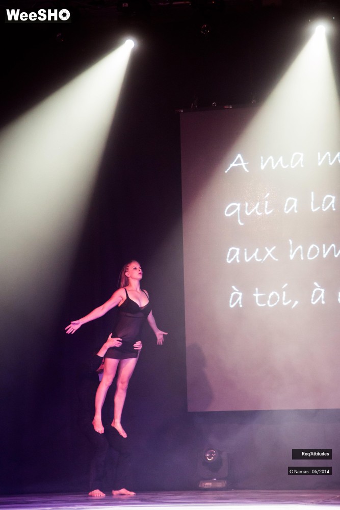 44/49 photos du spectacle Roq'Attitudes 2014 - Partie 2