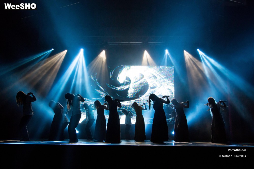 45/49 photos du spectacle Roq'Attitudes 2014 - Partie 2