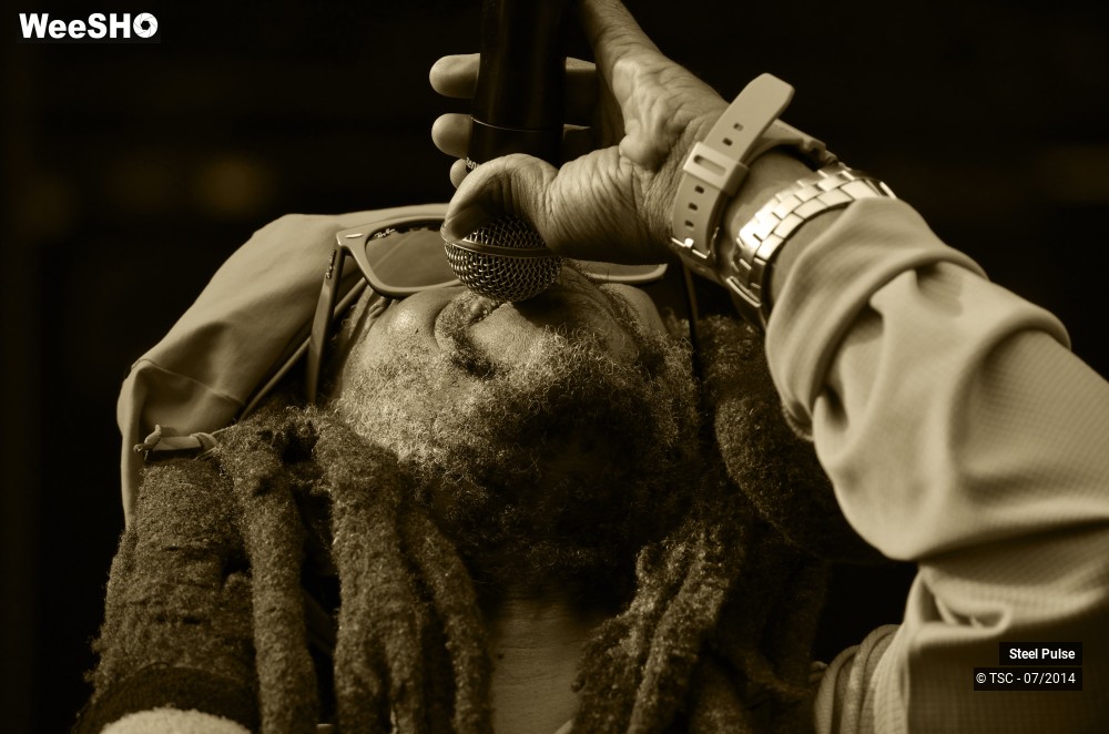 1/25 photos du spectacle Steel pulse