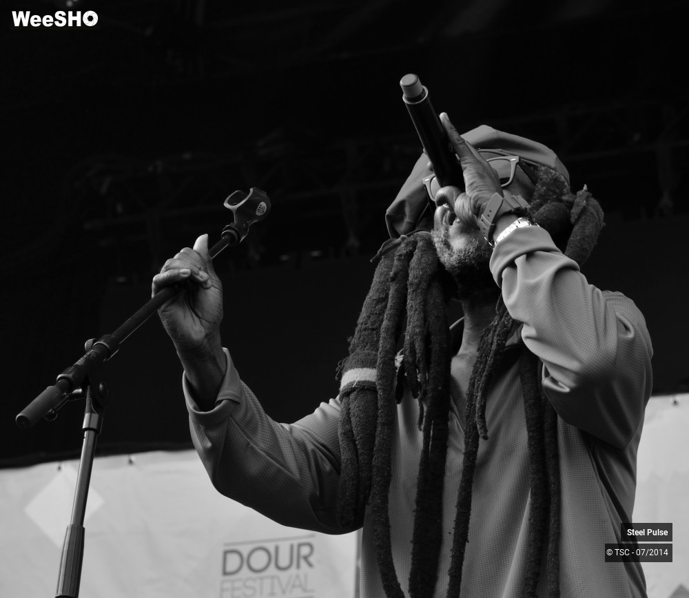 4/25 photos du spectacle Steel pulse
