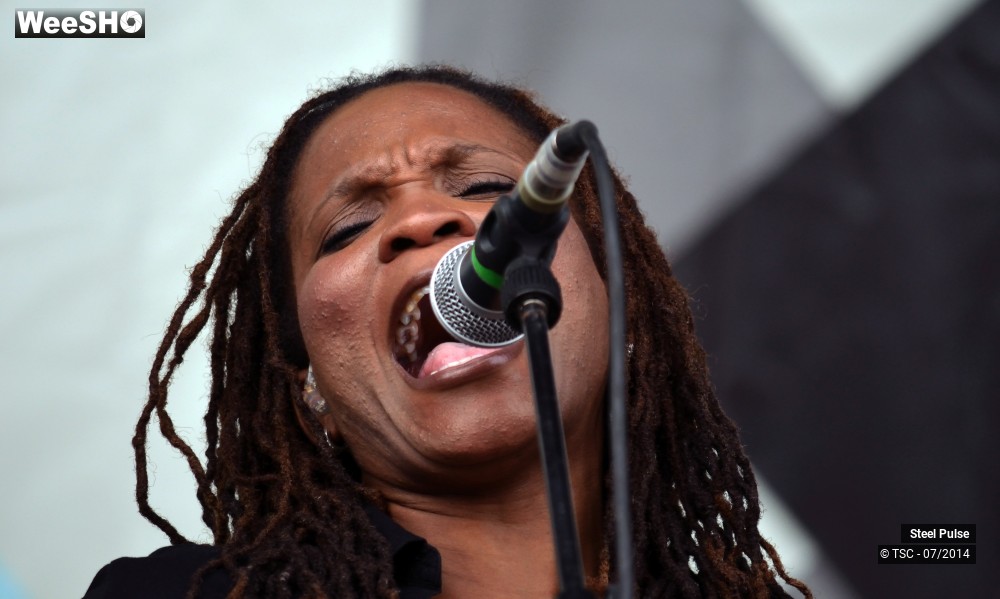 5/25 photos du spectacle Steel pulse