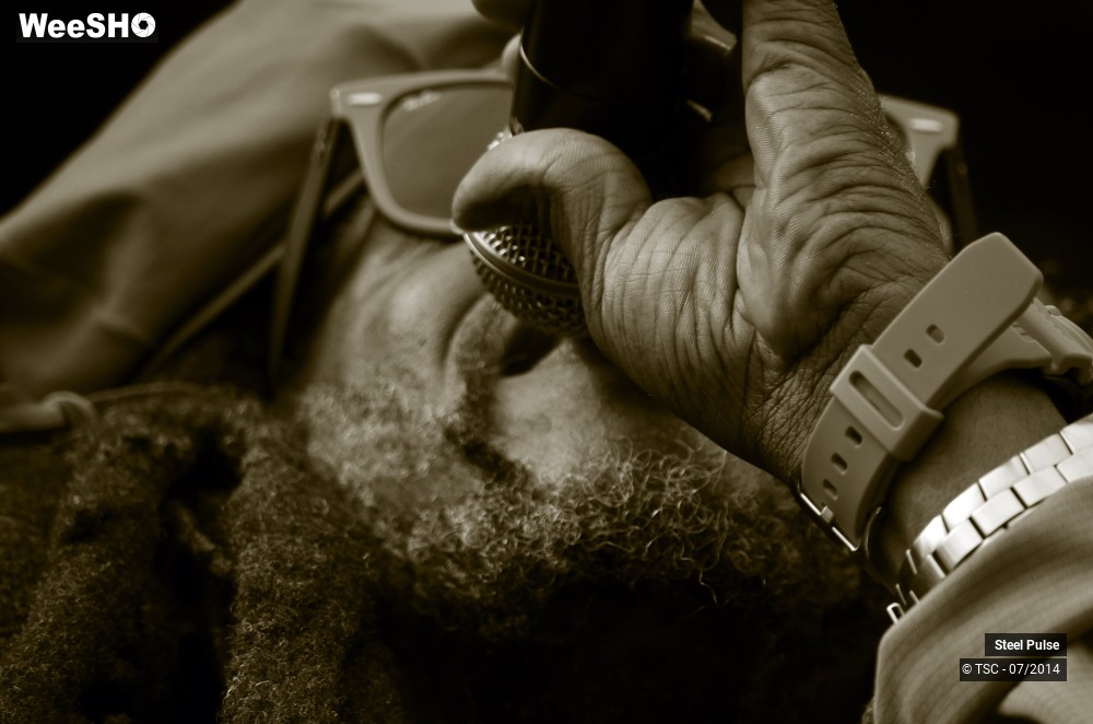 6/25 photos du spectacle Steel pulse