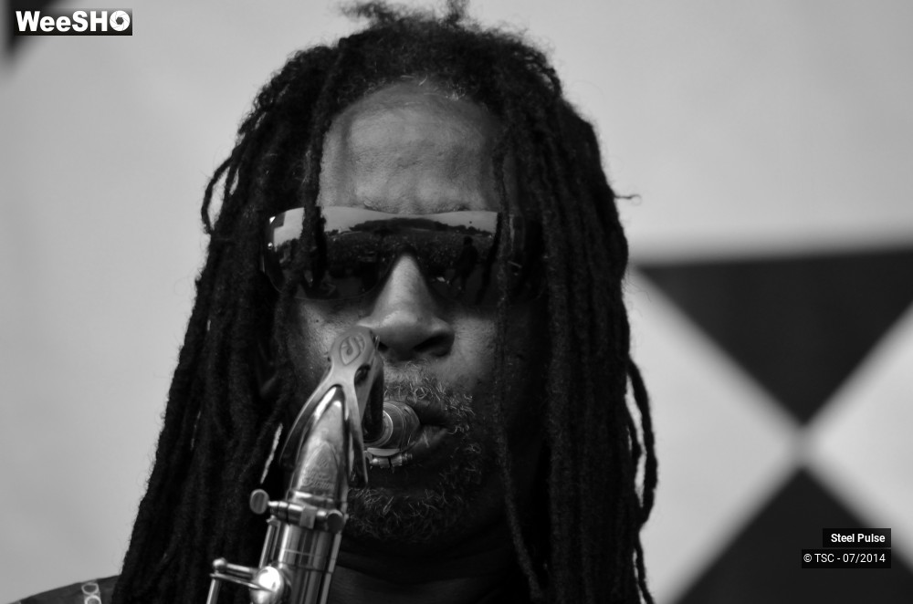 9/25 photos du spectacle Steel pulse