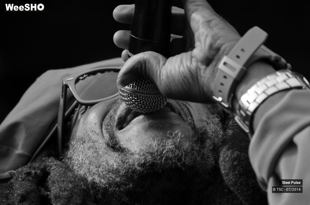 11/25 photos du spectacle Steel pulse