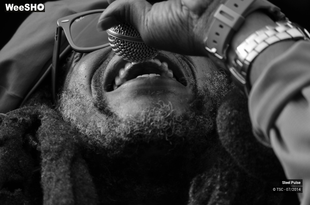 12/25 photos du spectacle Steel pulse