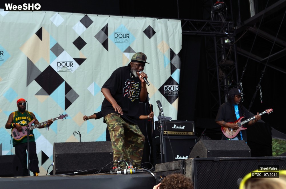 14/25 photos du spectacle Steel pulse