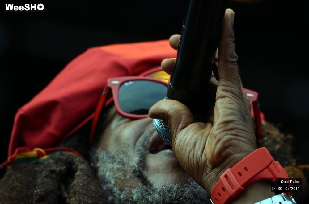 15/25 photos du spectacle Steel pulse