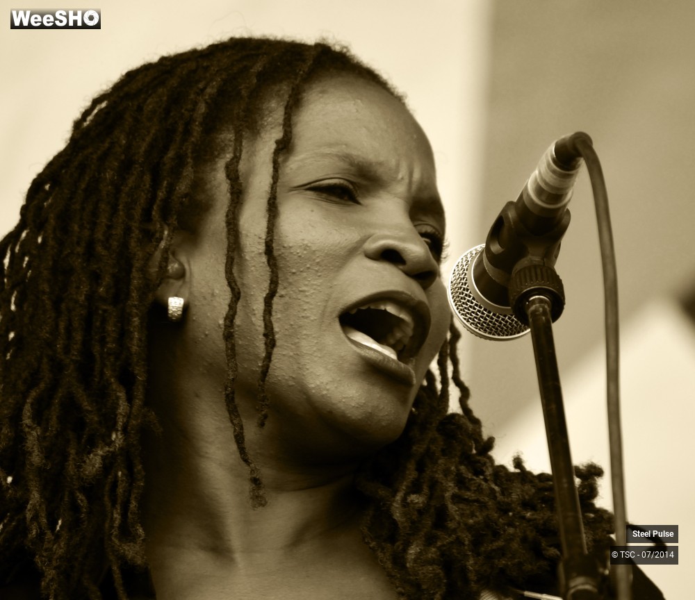 16/25 photos du spectacle Steel pulse