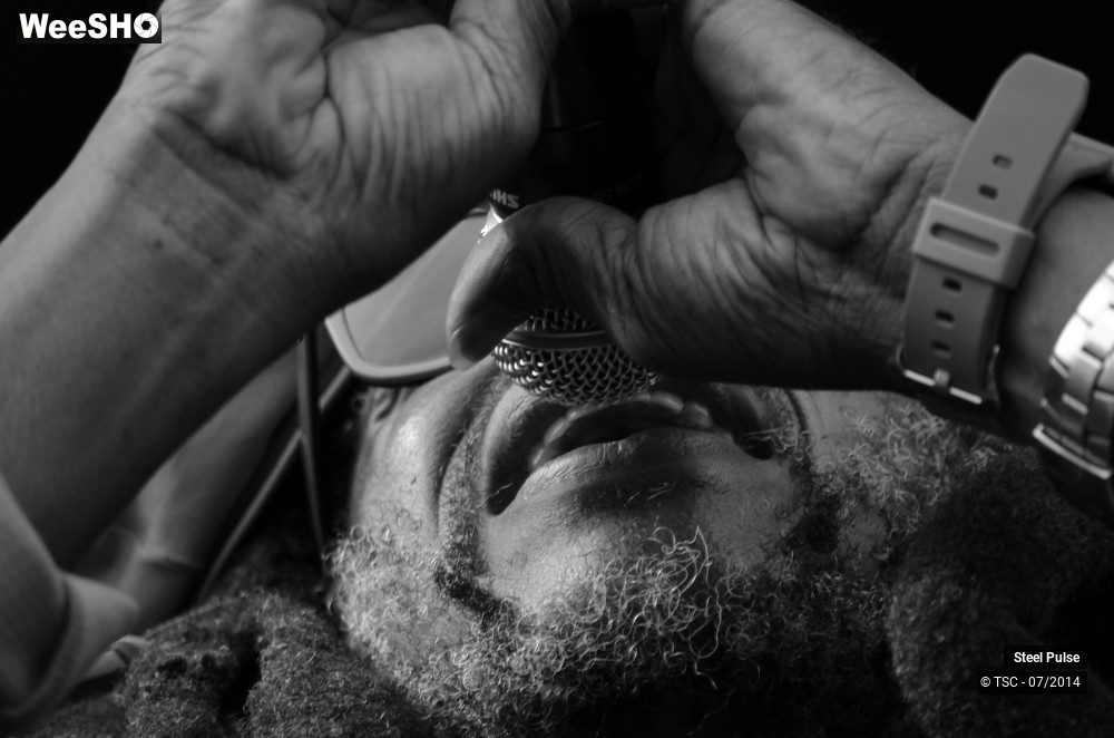 17/25 photos du spectacle Steel pulse