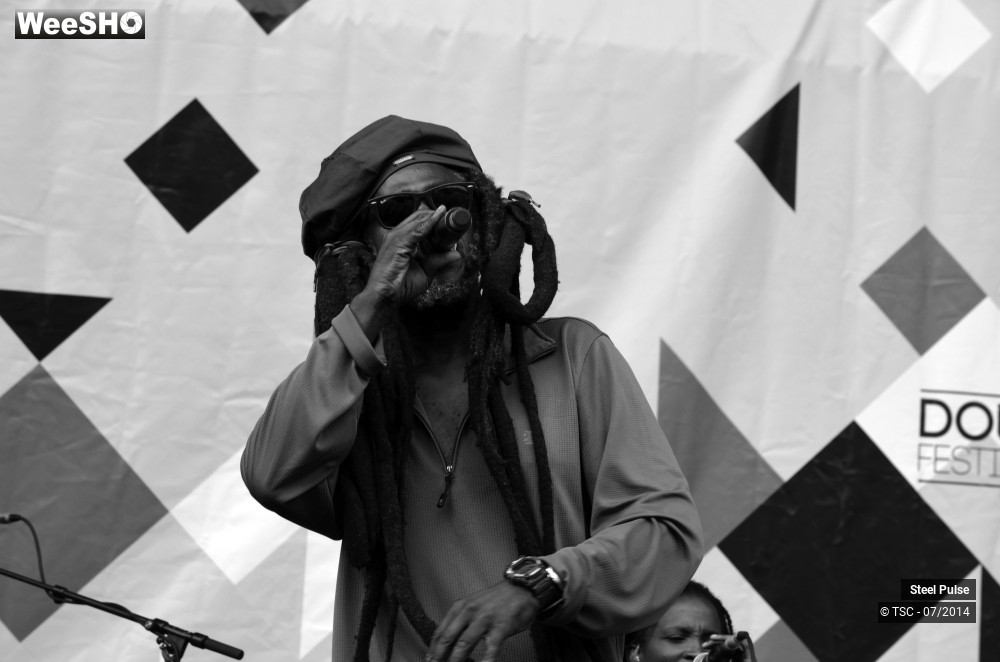 18/25 photos du spectacle Steel pulse