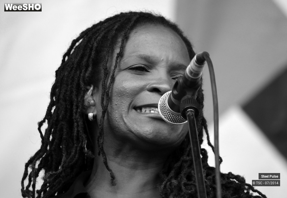 19/25 photos du spectacle Steel pulse