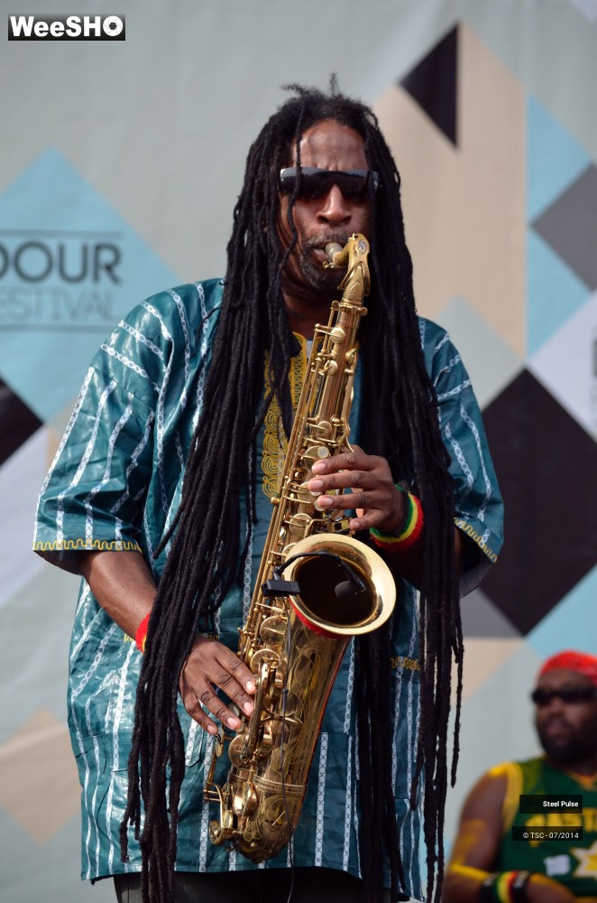 21/25 photos du spectacle Steel pulse