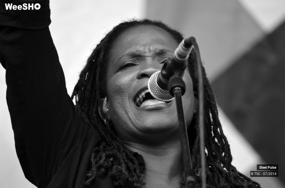 22/25 photos du spectacle Steel pulse