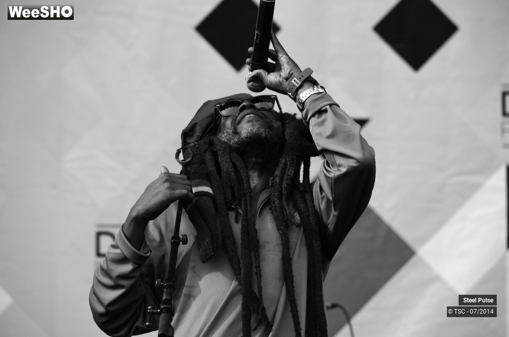 23/25 photos du spectacle Steel pulse