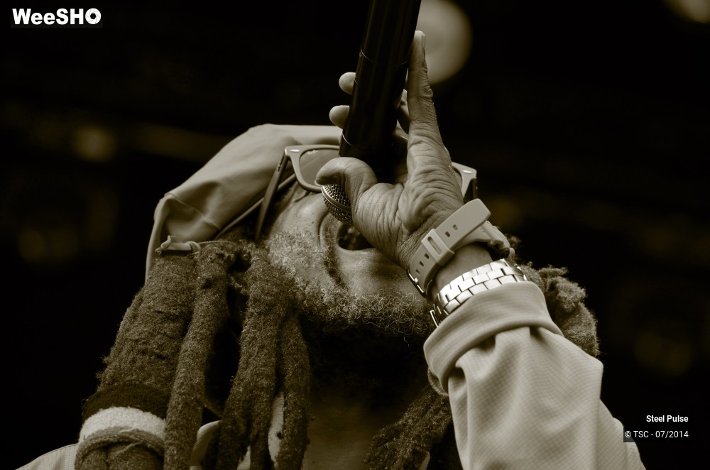 24/25 photos du spectacle Steel pulse