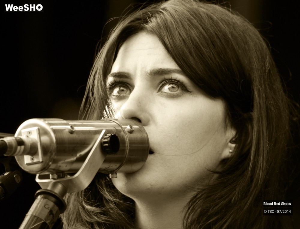 7/37 photos du spectacle Blood Red Shoes