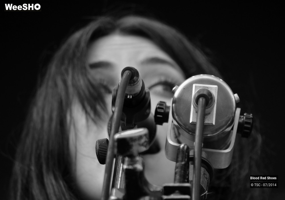 12/37 photos du spectacle Blood Red Shoes