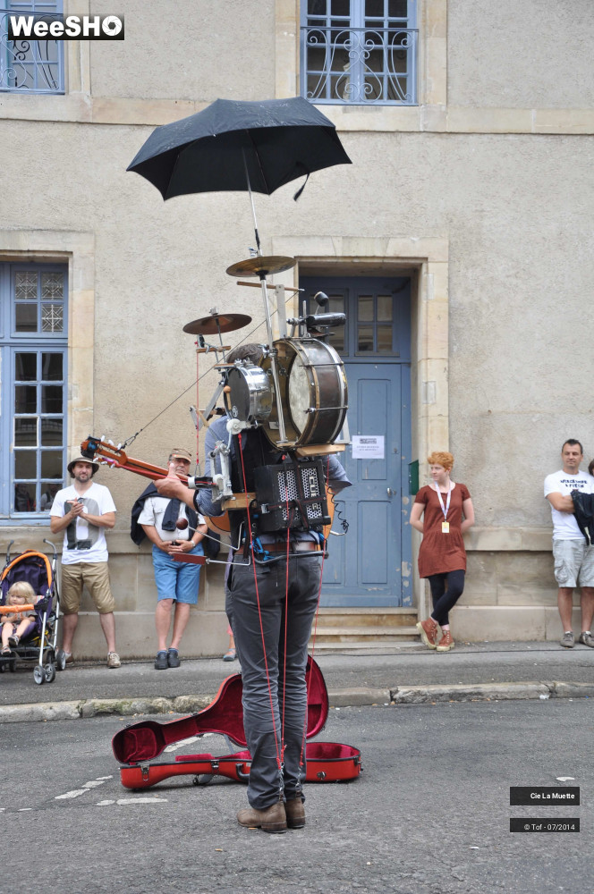 8/24 photos du spectacle L'Homme Orchestre
