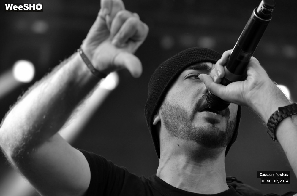 4/40 photos du spectacle Casseurs Flowters