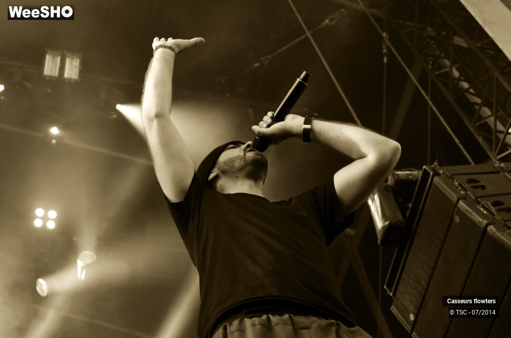 10/40 photos du spectacle Casseurs Flowters