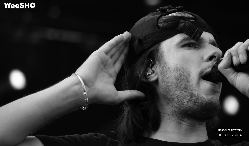 12/40 photos du spectacle Casseurs Flowters