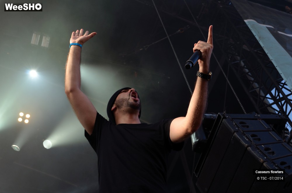 33/40 photos du spectacle Casseurs Flowters