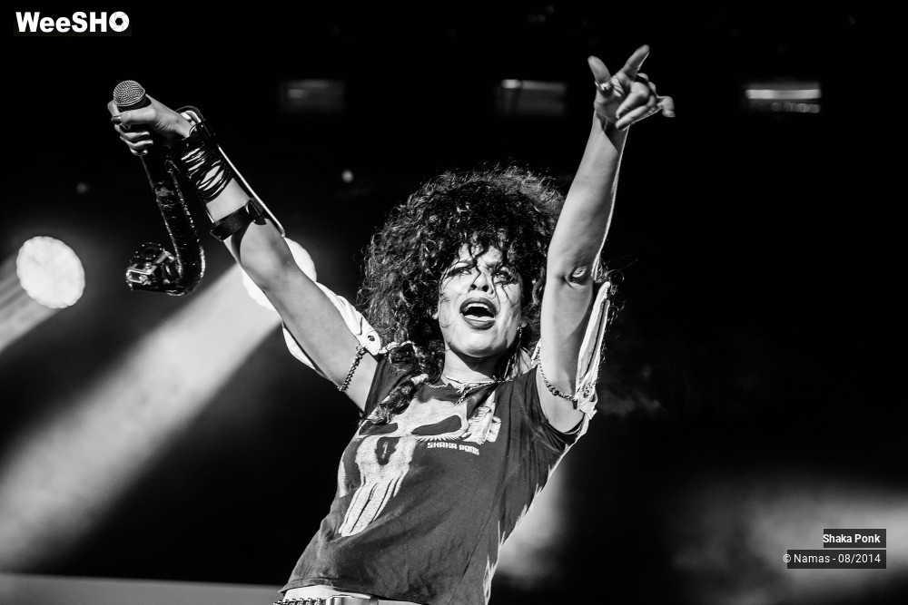 1/42 photos du spectacle Shaka Ponk