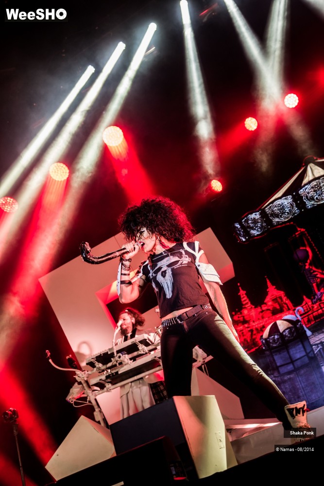 4/42 photos du spectacle Shaka Ponk